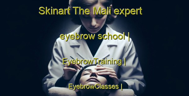 Skinart The Mali expert eyebrow school | EyebrowTraining | EyebrowClasses | SkinartTraining-Zimbabwe